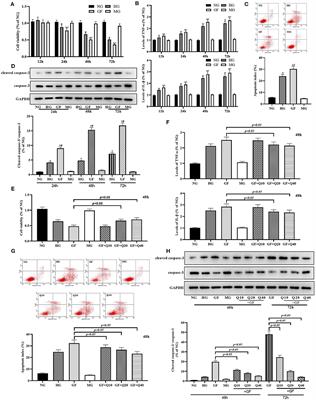 Quercetin Antagonizes Glucose Fluctuation Induced Renal Injury by Inhibiting Aerobic Glycolysis via HIF-1α/miR-210/ISCU/FeS Pathway